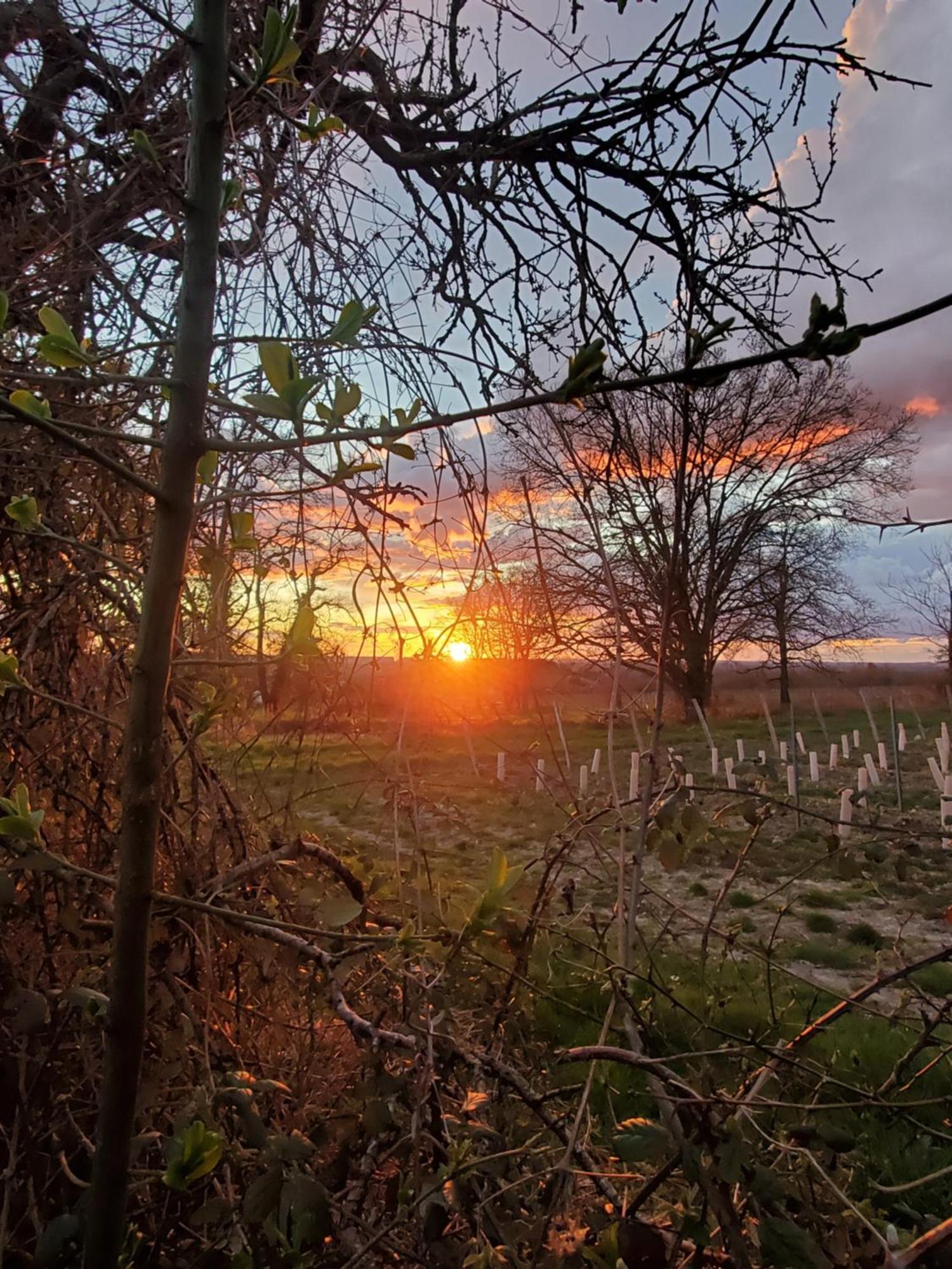 Gite Au Coeur De La Touraine La Chapelle-sur-Loire Bagian luar foto