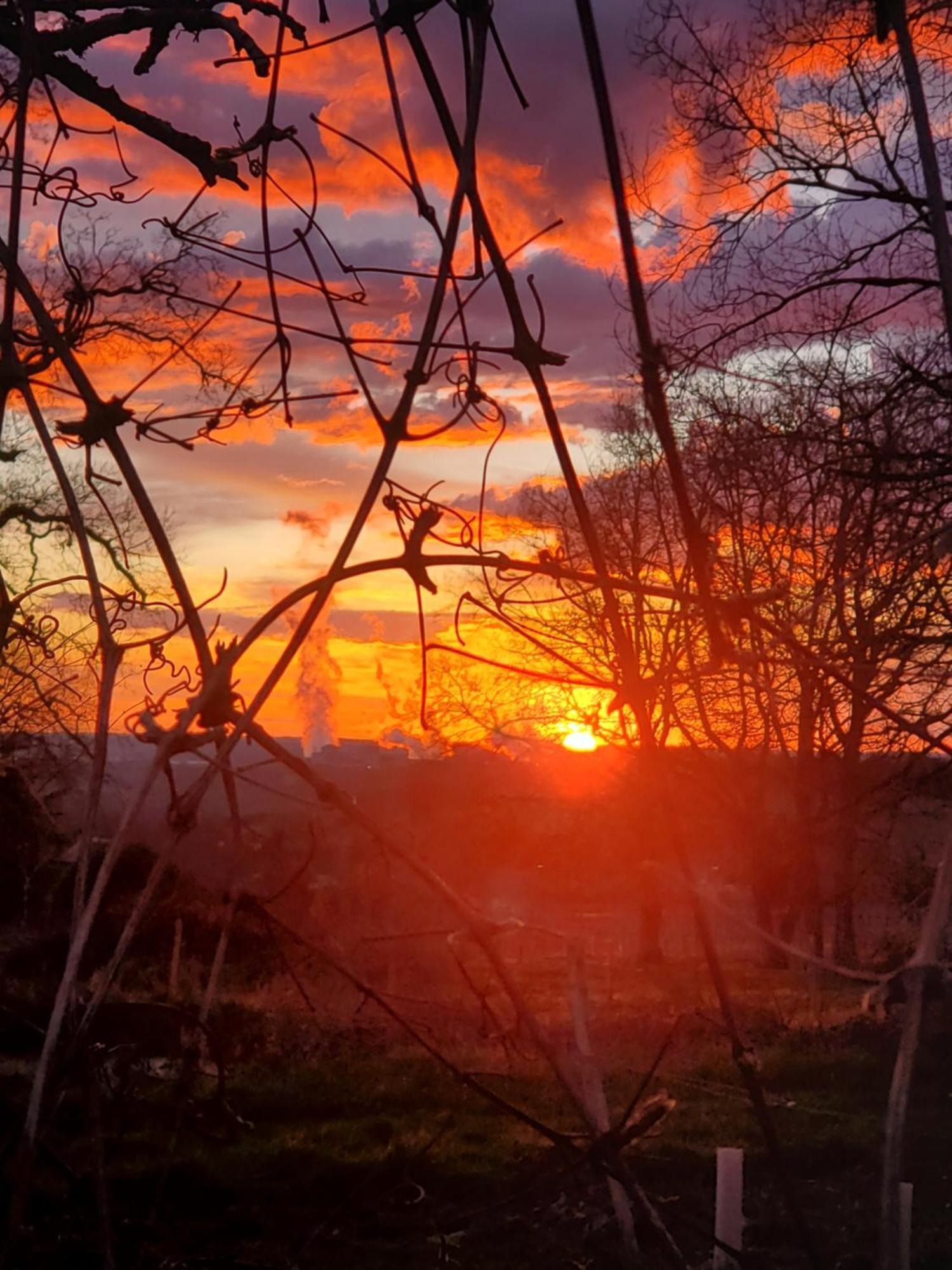 Gite Au Coeur De La Touraine La Chapelle-sur-Loire Bagian luar foto