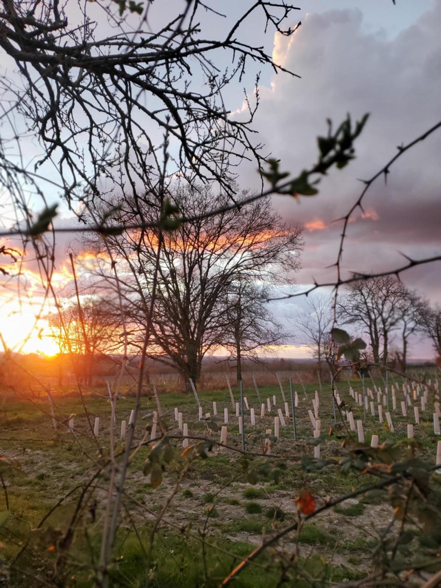 Gite Au Coeur De La Touraine La Chapelle-sur-Loire Bagian luar foto