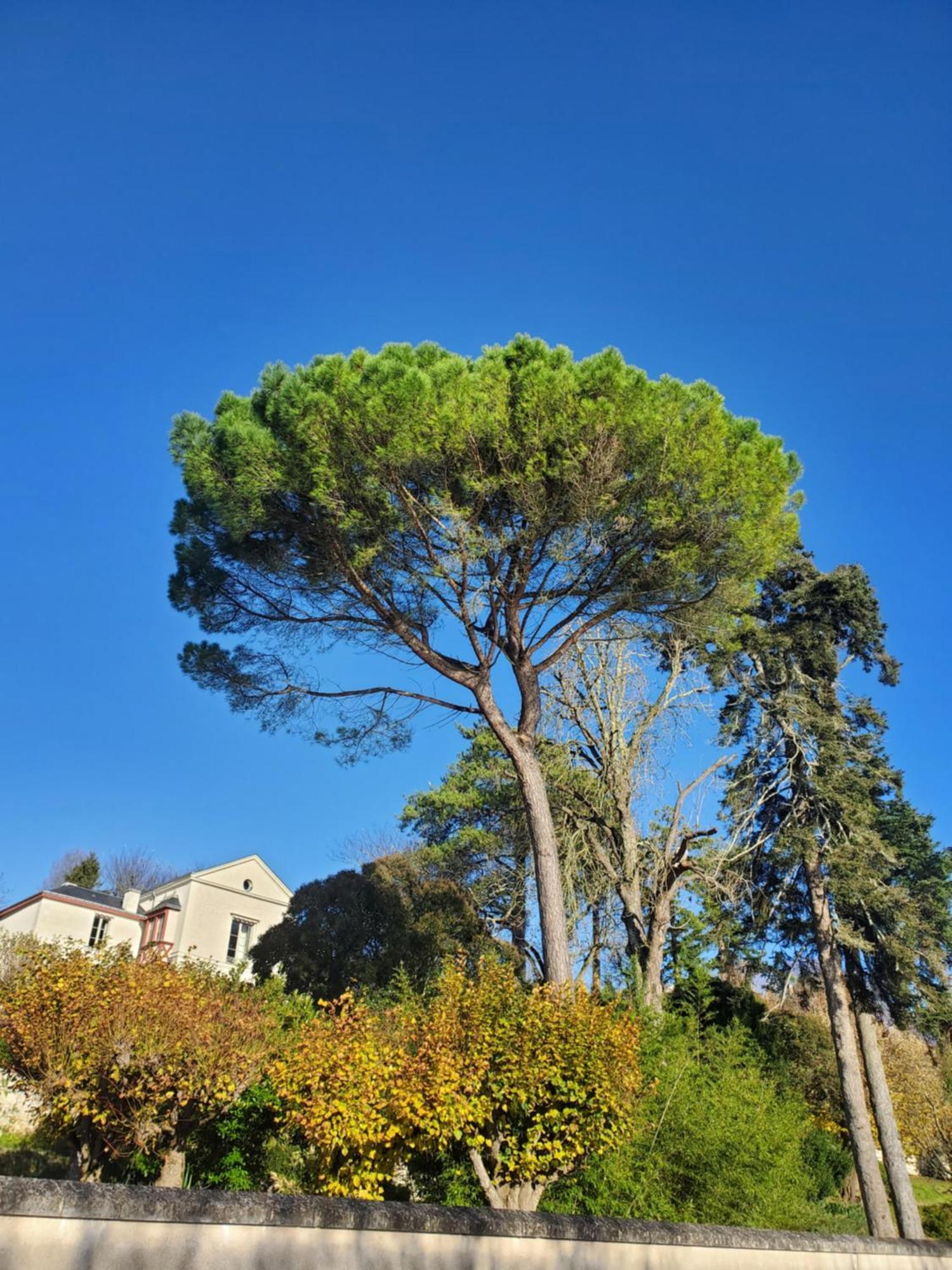 Gite Au Coeur De La Touraine La Chapelle-sur-Loire Bagian luar foto