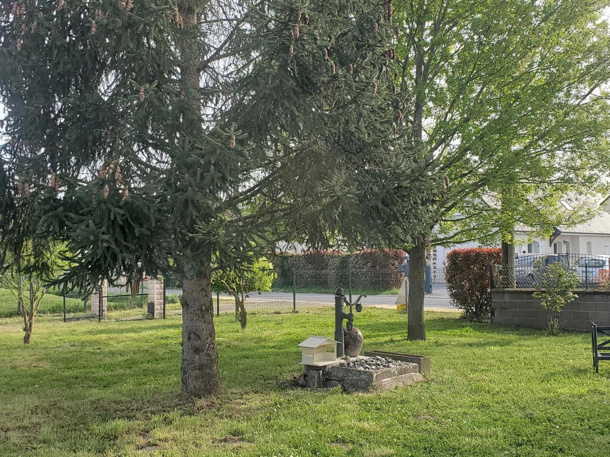 Gite Au Coeur De La Touraine La Chapelle-sur-Loire Bagian luar foto