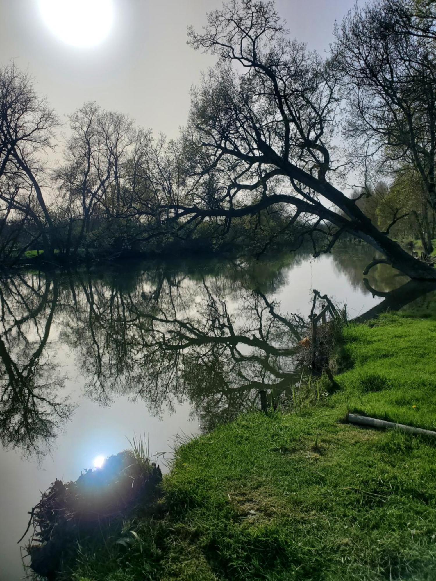 Gite Au Coeur De La Touraine La Chapelle-sur-Loire Bagian luar foto