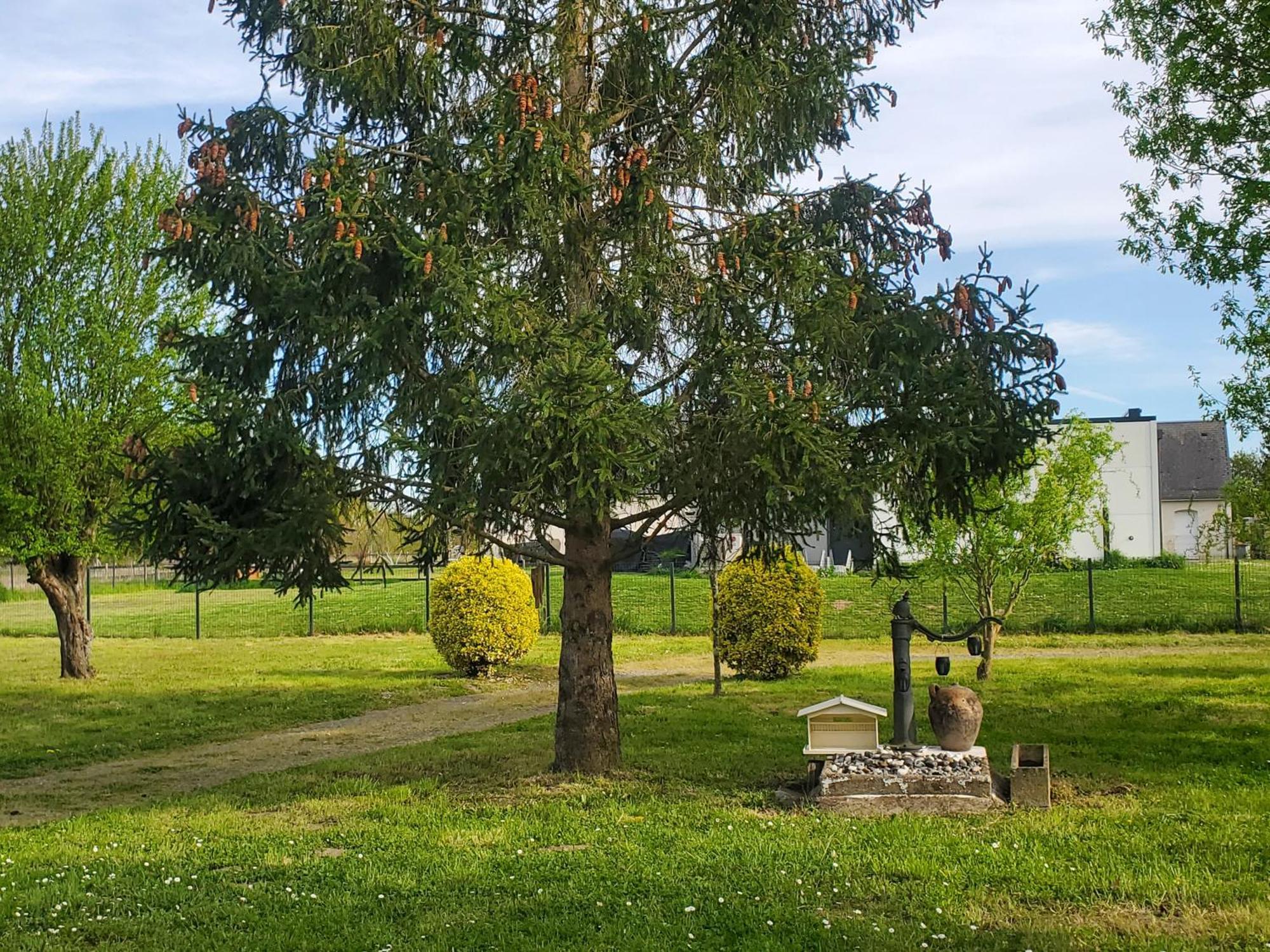 Gite Au Coeur De La Touraine La Chapelle-sur-Loire Bagian luar foto