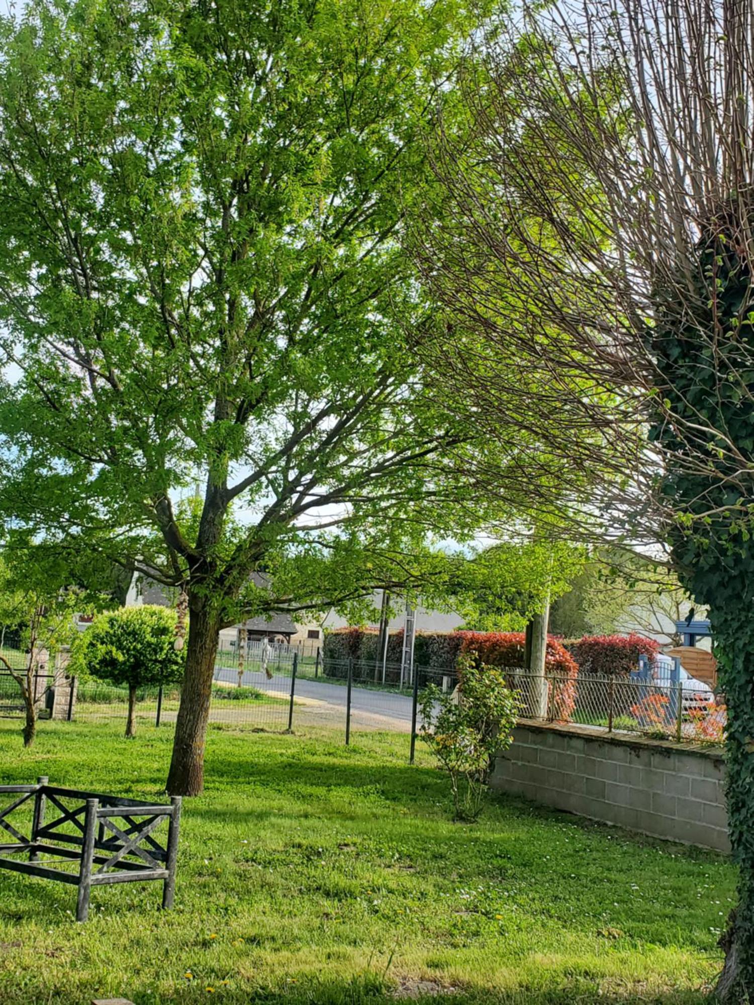 Gite Au Coeur De La Touraine La Chapelle-sur-Loire Bagian luar foto